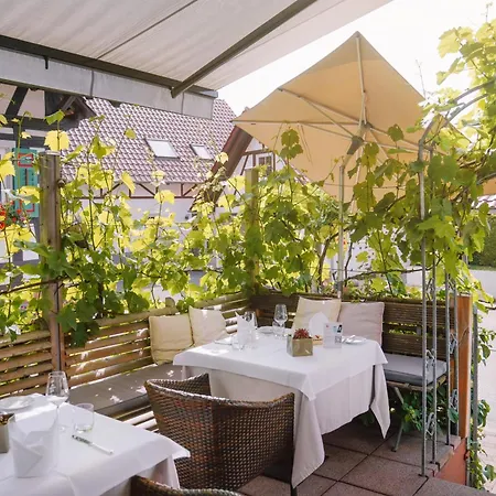 Restaurant Der Engel, 酒店 3*