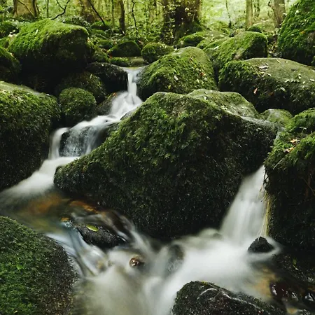 Restaurant Der Engel, ساسباشفالدن