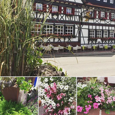 Restaurant Der Engel, 3* 萨巴赫瓦登