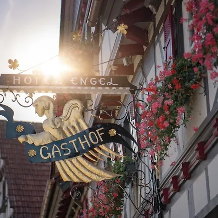 Restaurant Der Engel, 酒店 3*