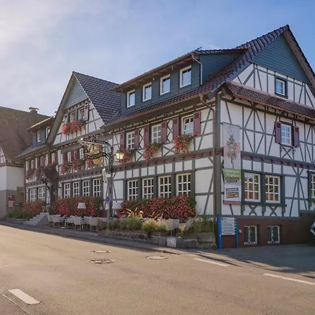 Restaurant Der Engel, 酒店 萨巴赫瓦登